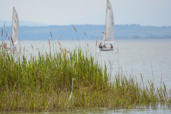 Segeln am Neuen Strand