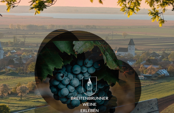 Breitenbrunn Traube