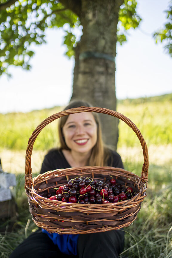 Frau mit Kirschkorb Frau mit Kirschkorb