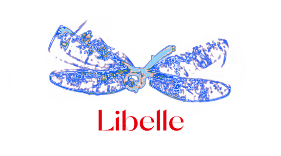 240112 Libelle mit Logo Proportion 1